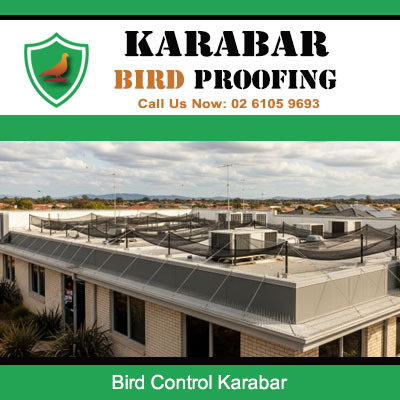 Bird control systems installed on commercial flat roof buildings in Karabar industrial estate