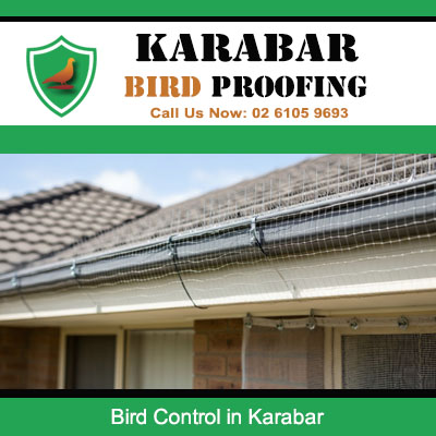 Bird control mesh installed along roof gutters and eaves of residential home in Karabar