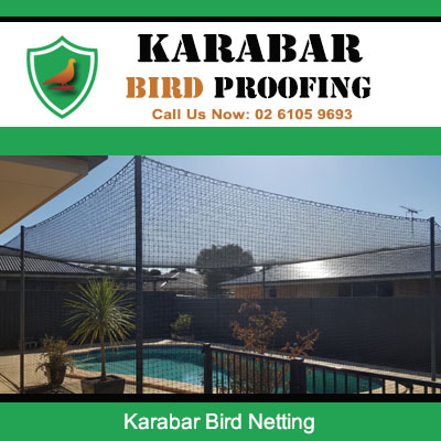 Professional bird netting protection for backyard patio and swimming pool in Karabar suburb