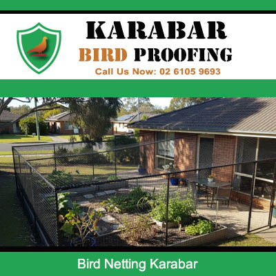 Professional bird netting protection for outdoor garden area and plants in Karabar suburb