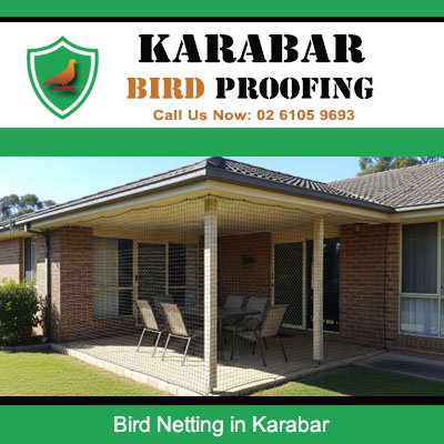 Bird netting installed over outdoor patio and alfresco area at residential home in Karabar