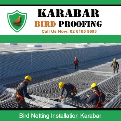 Expert bird netting installation crew working on warehouse rooftop in Karabar business district