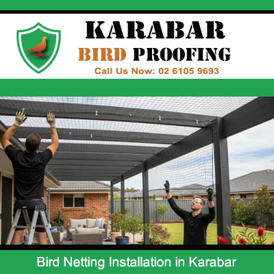 Professional bird netting installation team working on backyard structure in Karabar suburb