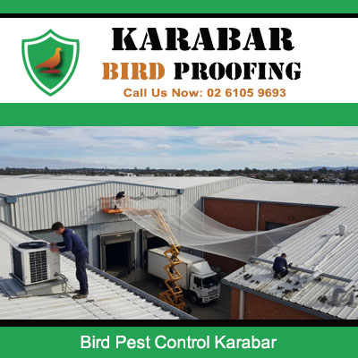 Bird pest control netting installed on commercial warehouse roof structure in Karabar industrial area