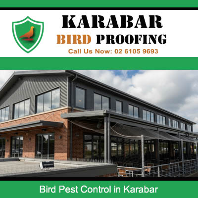 Bird pest control solutions protecting modern commercial building exterior in Karabar