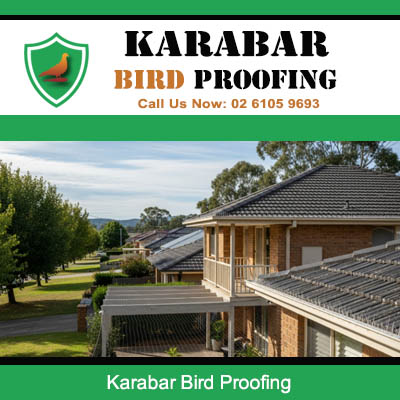 Quality bird proofing systems fitted to home in Karabar area preventing pest bird damage