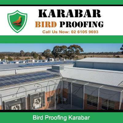 Commercial bird proofing mesh installed on solar panel array in Karabar preventing bird nesting