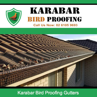 Professional gutter bird proofing system fitted to residential tile roof in Karabar suburb