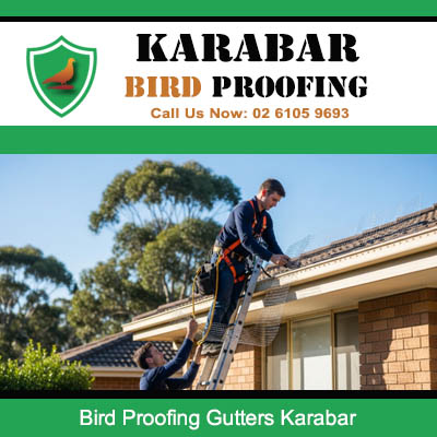 Professional gutter bird proofing installation being fitted to house roofline in Karabar suburb