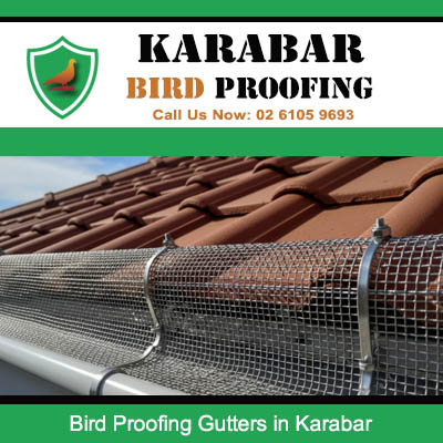 Expert bird exclusion mesh secured in roof gutters preventing nesting at Karabar property