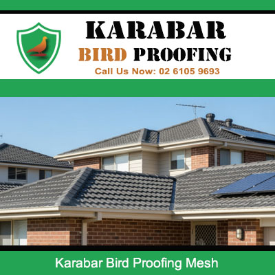 Bird proofing mesh installed on residential tile roof protecting home in Karabar suburb