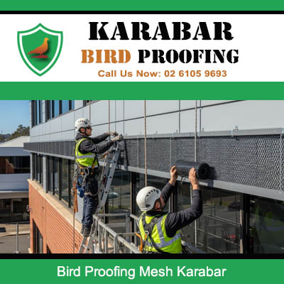 Technicians installing bird proofing mesh on commercial building rooftop in Karabar business area