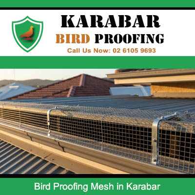 Professional bird proofing mesh barriers protecting roof vents and openings in Karabar