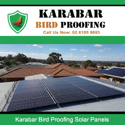 Professional bird proofing solar panels installation at home in Karabar area