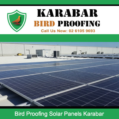 Bird proofing protection for large commercial solar panel array on flat roof in Karabar