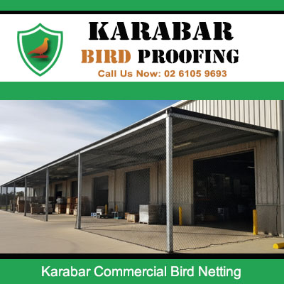 Commercial bird netting installed on warehouse loading dock and entrance in Karabar industrial area