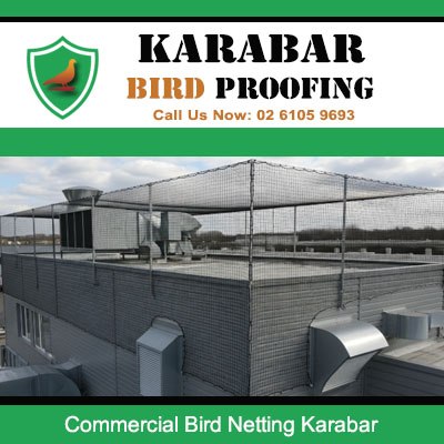Commercial bird netting installed on multi level industrial building rooftop in Karabar business park