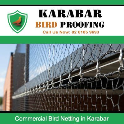 Commercial bird netting installed along building ledge in Karabar business district