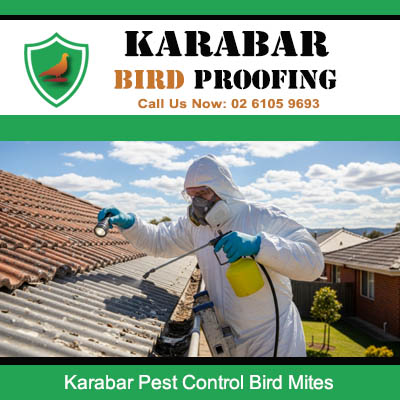 Pest control technician installing bird mite treatment on tile roof in Karabar residential area