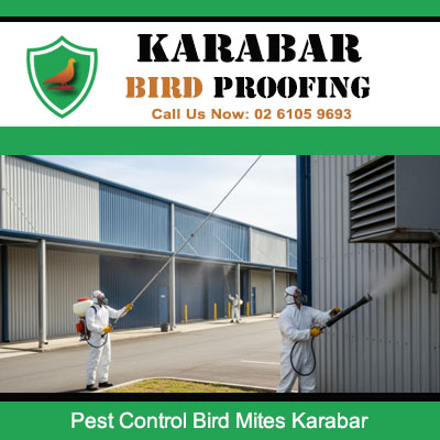 Pest control technicians treating commercial warehouse for bird mites in Karabar industrial area